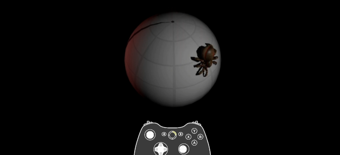A spider craws on a sphere